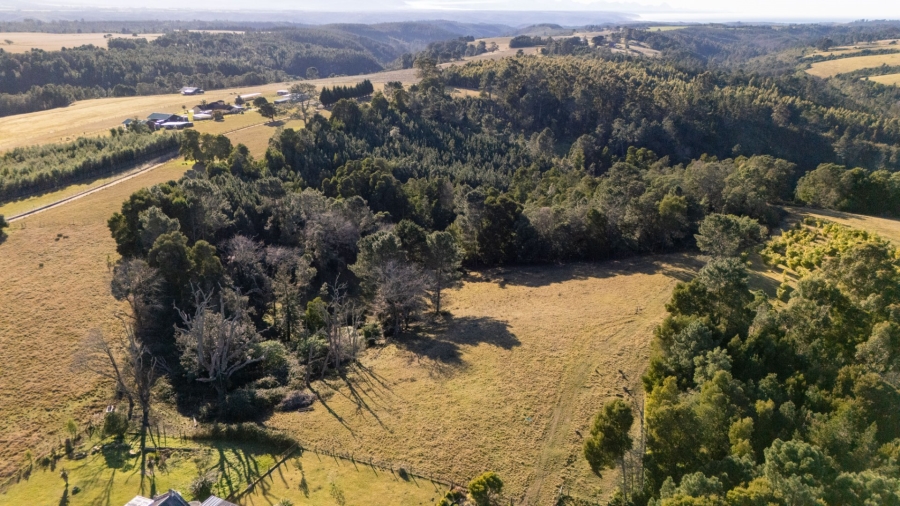6 Bedroom Property for Sale in Plettenberg Bay Rural Western Cape